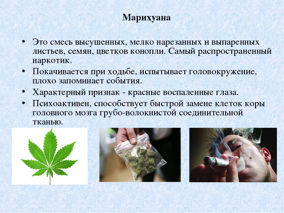 Марихуана и поведение сколько дают за употребление травы в россии